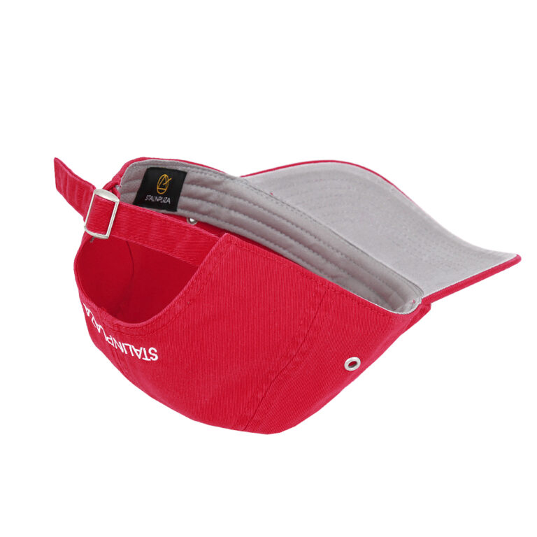 6-Panel Cap - Image 2